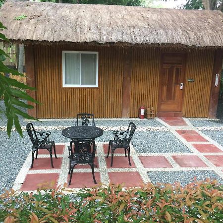 Buenavista Family Inn Tagudin Bagian luar foto
