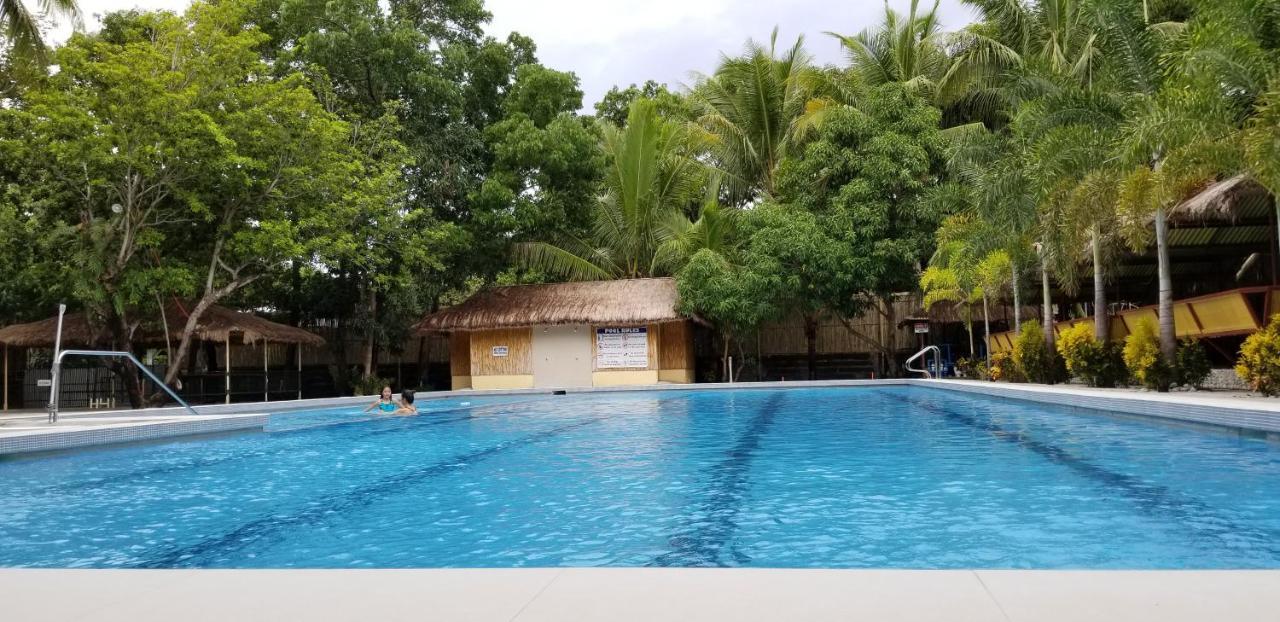 Buenavista Family Inn Tagudin Bagian luar foto