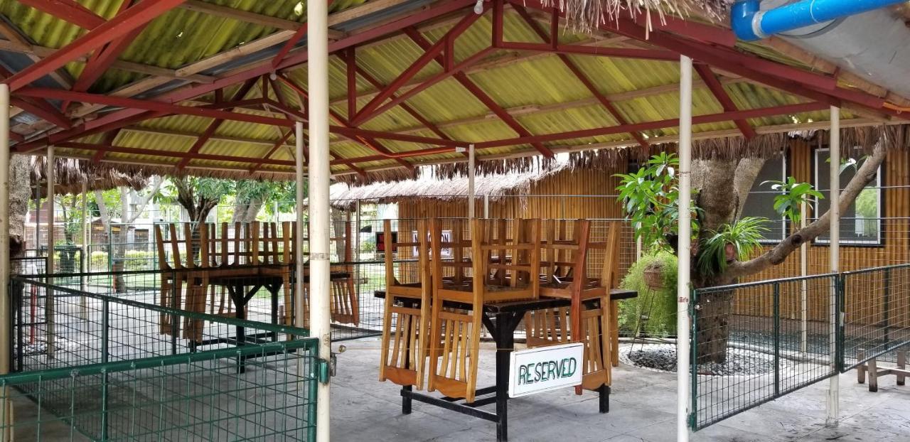 Buenavista Family Inn Tagudin Bagian luar foto