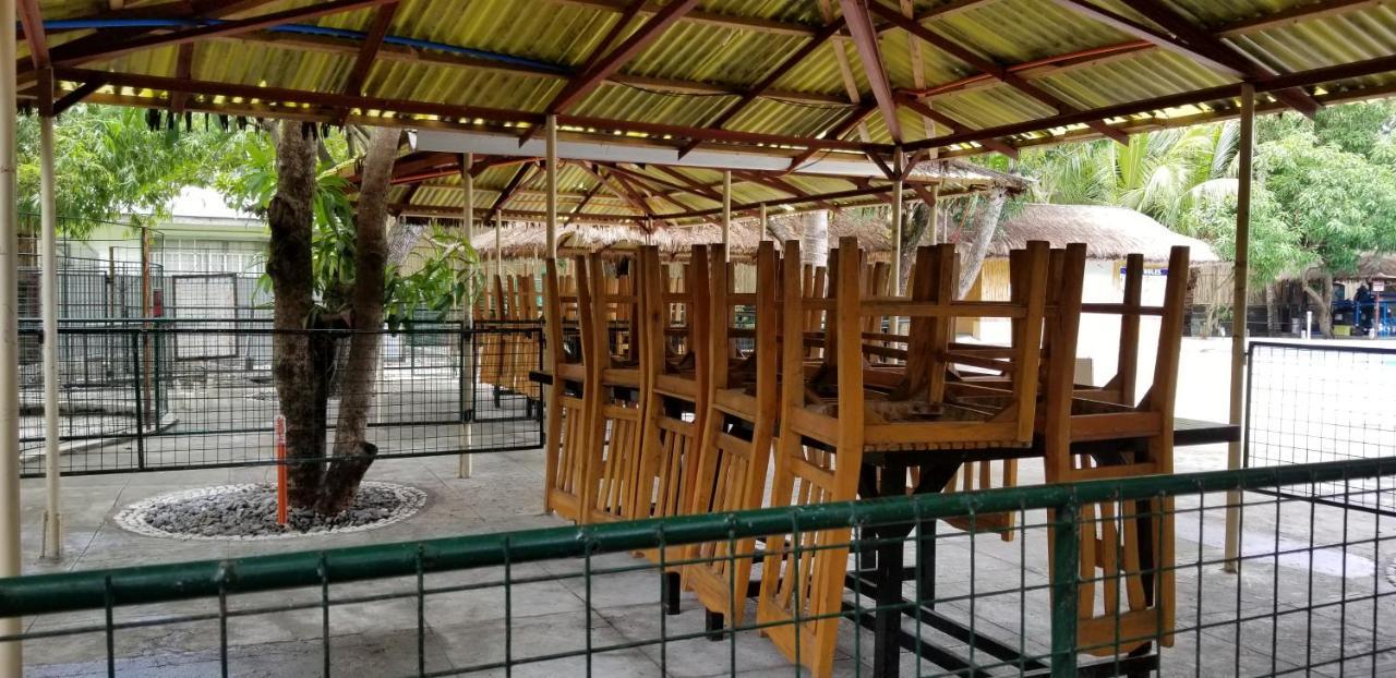 Buenavista Family Inn Tagudin Bagian luar foto