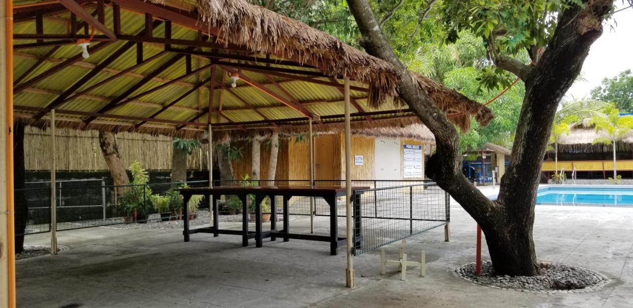 Buenavista Family Inn Tagudin Bagian luar foto
