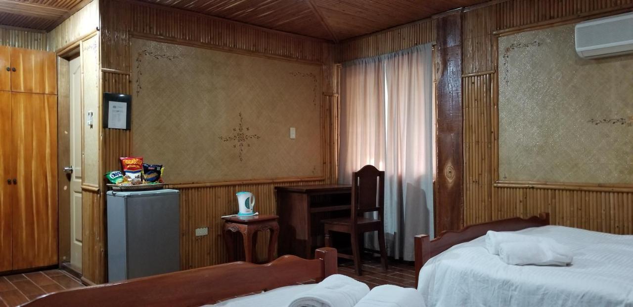 Buenavista Family Inn Tagudin Bagian luar foto