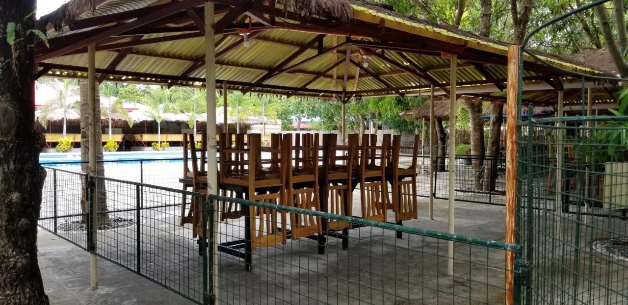 Buenavista Family Inn Tagudin Bagian luar foto