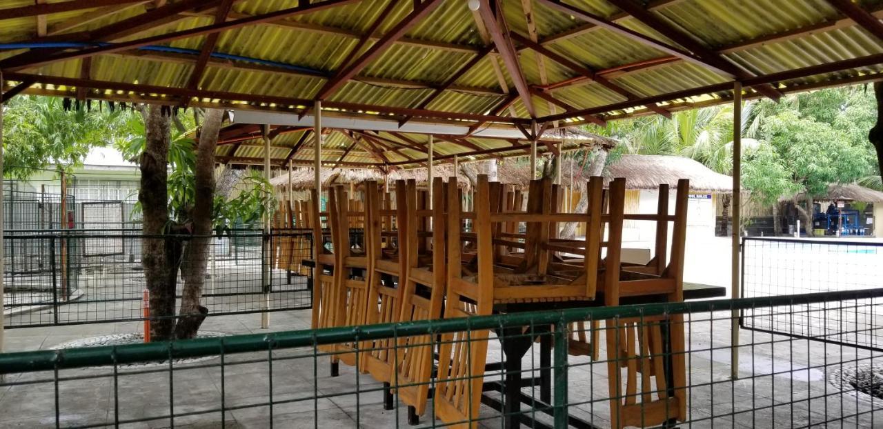 Buenavista Family Inn Tagudin Bagian luar foto