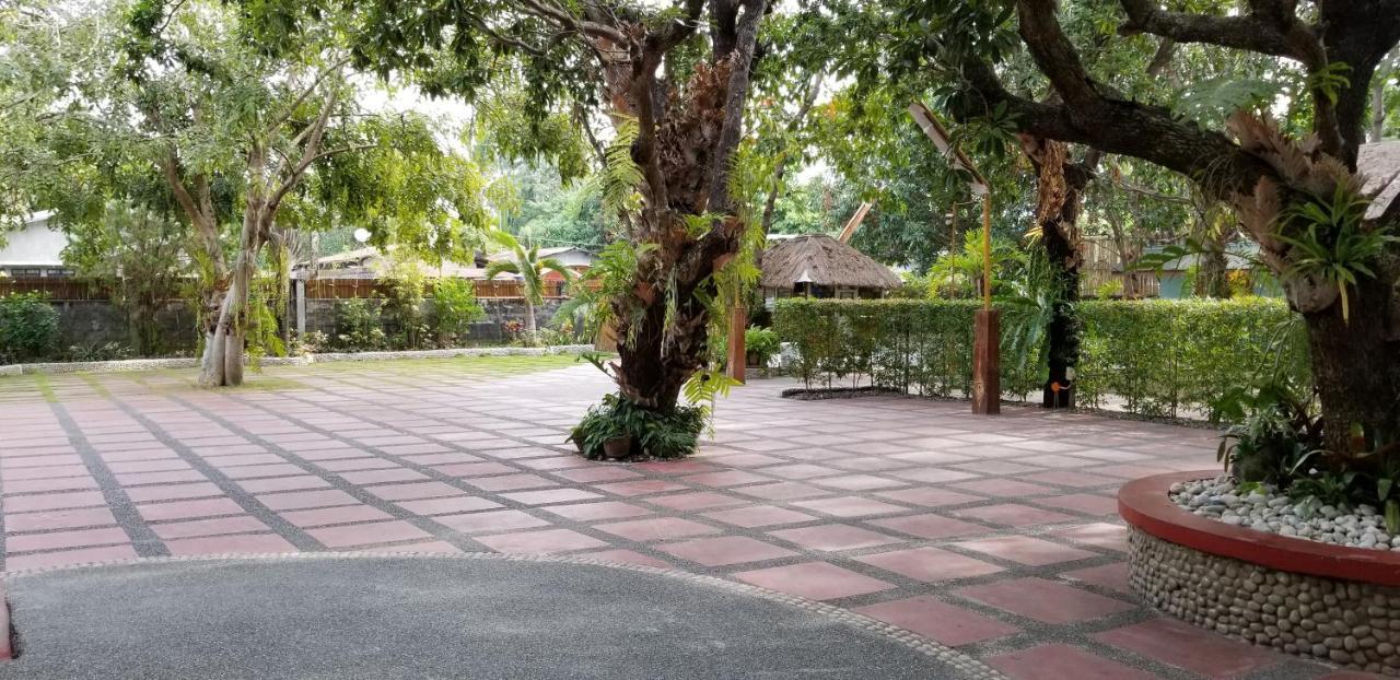 Buenavista Family Inn Tagudin Bagian luar foto